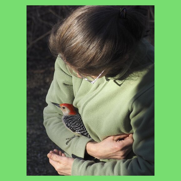 Meet CB Auder - Picture 1 of 5